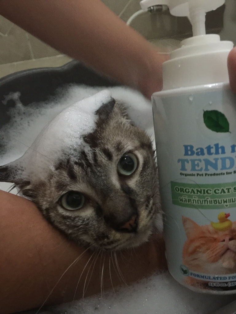 Bath me Tender Organic Cat Shampoo แชมพูแมว ออร์แกนิค ธรรมชาติ - ไข่หวาน 1