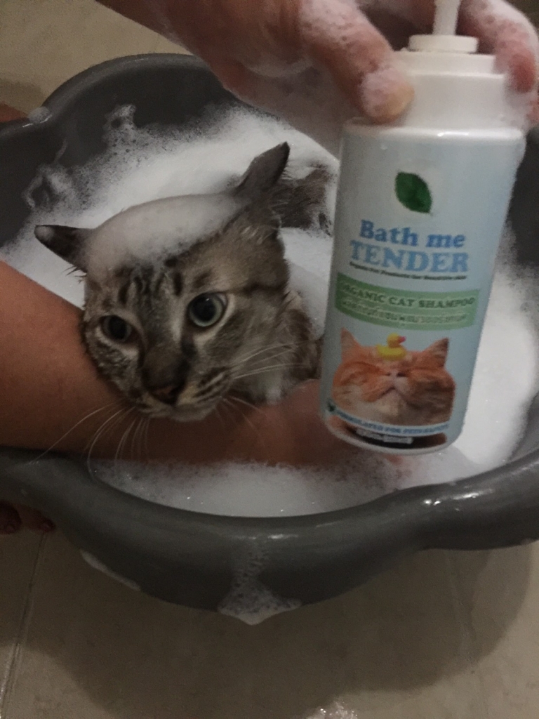 Bath me Tender Organic Cat Shampoo แชมพูแมว ออร์แกนิค ธรรมชาติ - ไข่หวาน 2